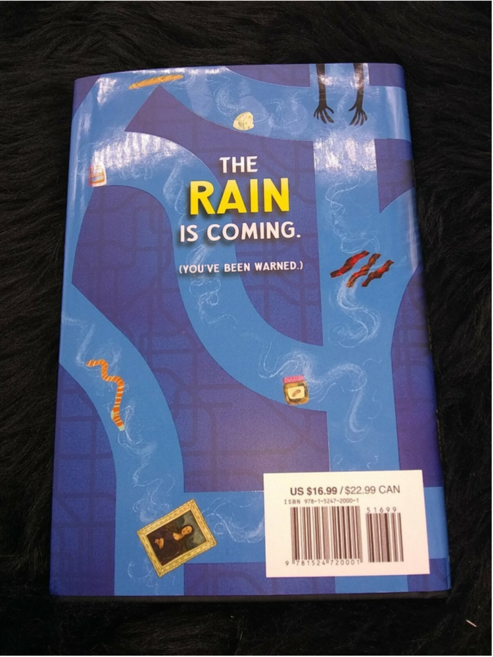 Samantha Spinner and the Super-Secret Plans - Hardcover - VERY GOOD - Picture 4 of 4